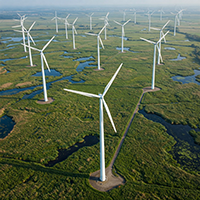 Aerial view of a large wind turbine farm situated on a green wetland landscape.